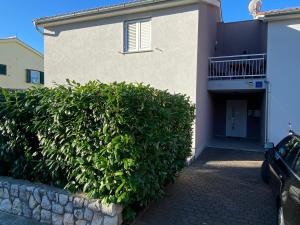 a large green bush in front of a house at Donna in Vrh