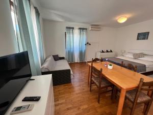 TV a/nebo společenská místnost v ubytování Apartments Antolkovic