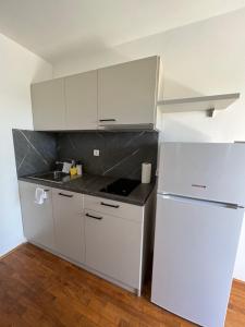 Kuchyň nebo kuchyňský kout v ubytování Apartments Antolkovic