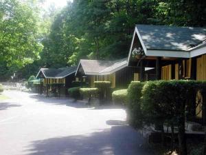 a row of houses with bushes next to a street at Amber Lantern Efficiency Cottage in Lake George