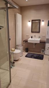 a bathroom with a sink and a toilet and a shower at Ferienapartments Bensch - Haus Reiskofel in Reisach +14 photos
