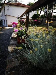 Zahrada ubytování Casa Il giuggiolo
