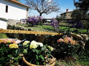 Zahrada ubytování Casa Il giuggiolo