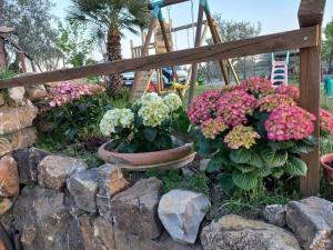 Zahrada ubytování Casa Il giuggiolo