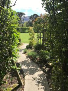 a path through a garden with trees and a field at Cosy home in a beautiful valley in Tipperary