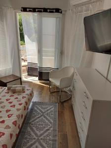 Schlafzimmer mit einem Bett, einem Schreibtisch und einem TV in der Unterkunft Villa Lyudmila in Utjeha