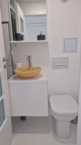 a bathroom with a sink and a toilet at Criber House - Casa din Fibra de sticla pe ponton plutitor in Bicaz