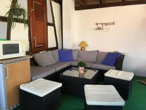salon z kanapą i telewizorem w obiekcie Bienvenue en Alsace w mieście Huttenheim