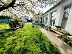 a yard of a house with a dog on the grass at Apartman La Martina in Vráble