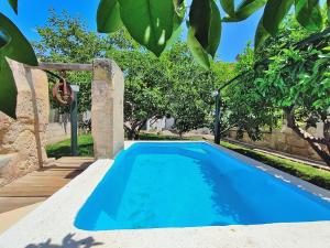 une piscine bleue dans une cour arborée dans l'établissement Casa Ca S'Escolà 175 by Mallorca Charme, à Sineu