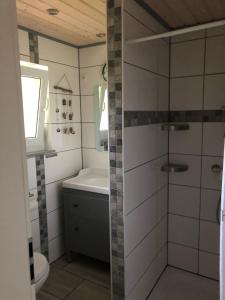 a bathroom with a shower and a sink and a toilet at Ferienhaus 8 am See in Granzow in Mirow