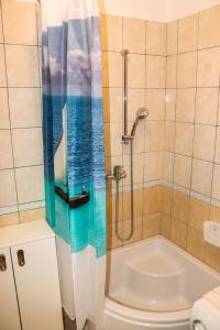 Kúpeľňa v ubytovaní Jure Bili + 12 fotografií