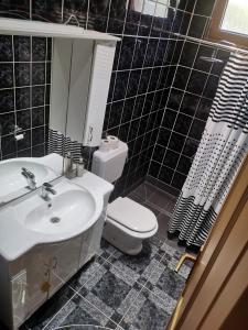 Baño en blanco y negro con lavabo y aseo en House Leyla, en Bihać