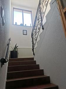 Gallery image of House Leyla in Bihać
