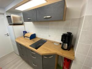 Una cocina con encimera con fregadero y frigorífico. en Ferienwohnung Pintaske, en Stadt Wehlen 3 fotos más