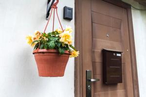 Kwiatnik wiszący na drzwiach w obiekcie Napoleona apartamenti w mieście Kuldīga