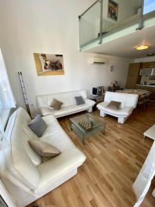 Fotografie z fotogalerie ubytování Blue Bay Apartments Pag v destinaci Pag