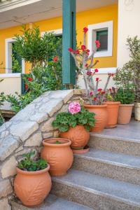 a group of flower pots sitting on the steps at Dilina Studios in Arkasa