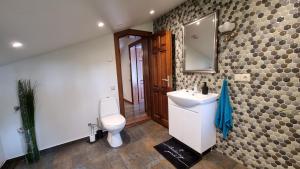 a bathroom with a toilet and a sink and a mirror at Lauviņu rezidence in Kocēni +44 photos