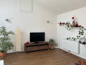 un salon avec une télévision à écran plat sur une table en bois dans l'établissement 2 Zi-Apartment Fauser Echterdingen-Messe, à Leinfelden-Echterdingen