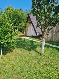 Zahrada ubytování Apartmani Radaković