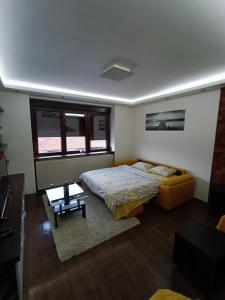 um quarto com uma cama, um sofá e uma mesa em Leon em Gornji Milanovac