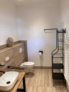a bathroom with a toilet and a shelf in it at Bergs Bahnhof in Ralingen