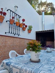 a table with a potted plant on a patio at Benamahoma Rural in Benamahoma