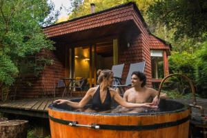 Hosté ubytování Hotel y Termas Huife