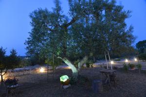 A garden outside Trullo Gio