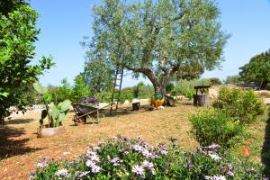 A garden outside Trullo Gio