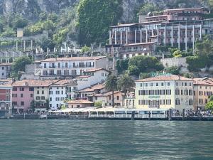 a group of buildings on a hill next to the water at Villa Castello in Limone sul Garda