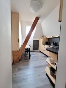 Kuchyň nebo kuchyňský kout v ubytování Lepší-apartmán
