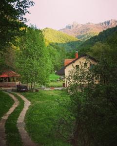 un chemin de terre menant à une maison dans un champ dans l'établissement Vila Nada, à Crni Vrh
