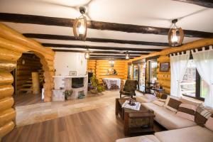 a living room with a couch and a fireplace at The Lodge in Moieciu de Jos