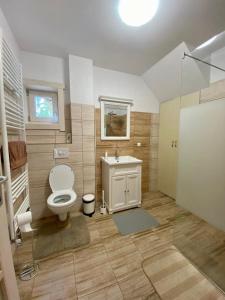 a bathroom with a toilet and a sink at Cabana Katica vendégház in Borzont +27 photos