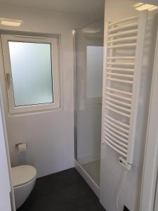 a bathroom with a shower and a toilet and a window at Huisje Bloemendal in Balkbrug