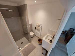 a bathroom with a shower and a toilet and a sink at Le Grand Marguit*** sur la Côte Basco-Landaise in Tarnos +21 photos