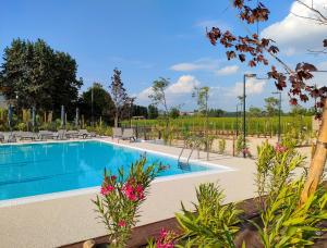 The swimming pool at or close to Garda Di Vino Agricamping & Wine Shop Lazise