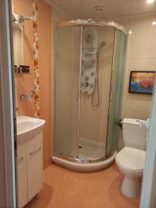 a bathroom with a shower and a toilet at Dima's place in Kazanlŭk