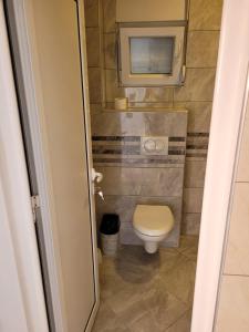 a small bathroom with a toilet and a tv at Sunny House Apartments Doni Štoj in Bregvija