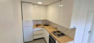 Kuchyň nebo kuchyňský kout v ubytování Vip Deluxe Apartment Arian
