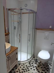 a bathroom with a shower and a toilet and a sink at Ferienwohnung Waldblick in Hallenberg
