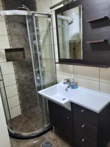 ein Bad mit einem Waschbecken und einer Dusche in der Unterkunft Apartman NK in Nikšić
