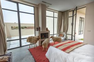 Φωτογραφία από το άλμπουμ του Bakkal Farm Agrolodge στο Μαρακές