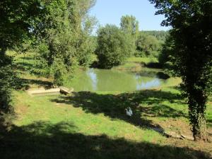 a view of a pond with two birds in the grass at La Demeure des Fleurs in Caillavet