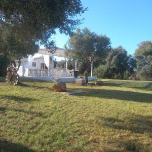 a white house with a yard with grass and trees at B&B GLI ULIVI in SantʼAnna Arresi