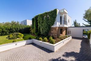 Κήπος έξω από το F & B Summer Family Villa - Kassandra - Siviri