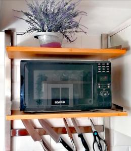 a microwave on a shelf with a plant and scissors at SOUL HOUSE MOKI, Primošten, Hrvaška in Primošten