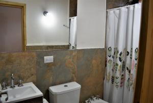 łazienka z toaletą, umywalką i zasłoną prysznicową w obiekcie Las Casitas 1 w mieście San Martín de los Andes
